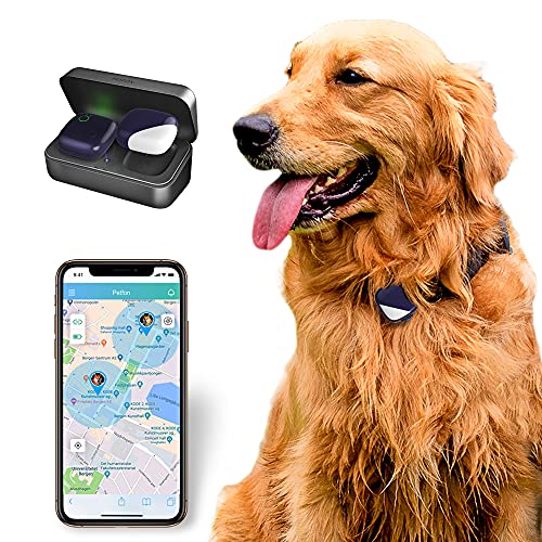 PETFON Pet GPS Tracker