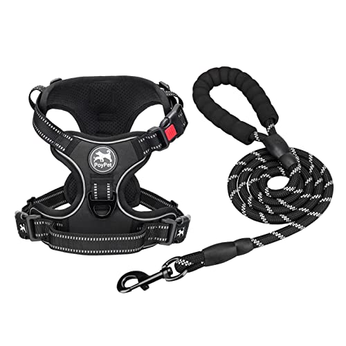 PoyPet Dog Harness and Leash Combo